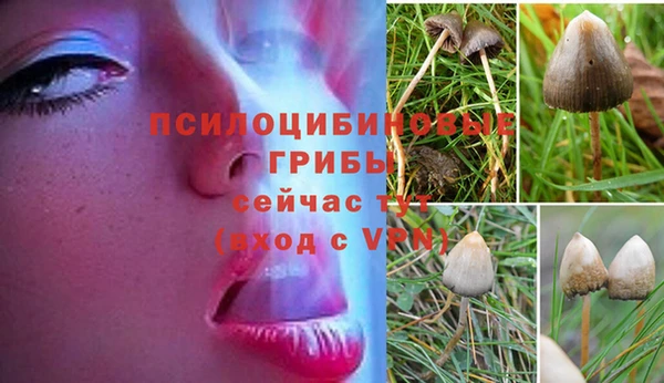 мескалин Аркадак